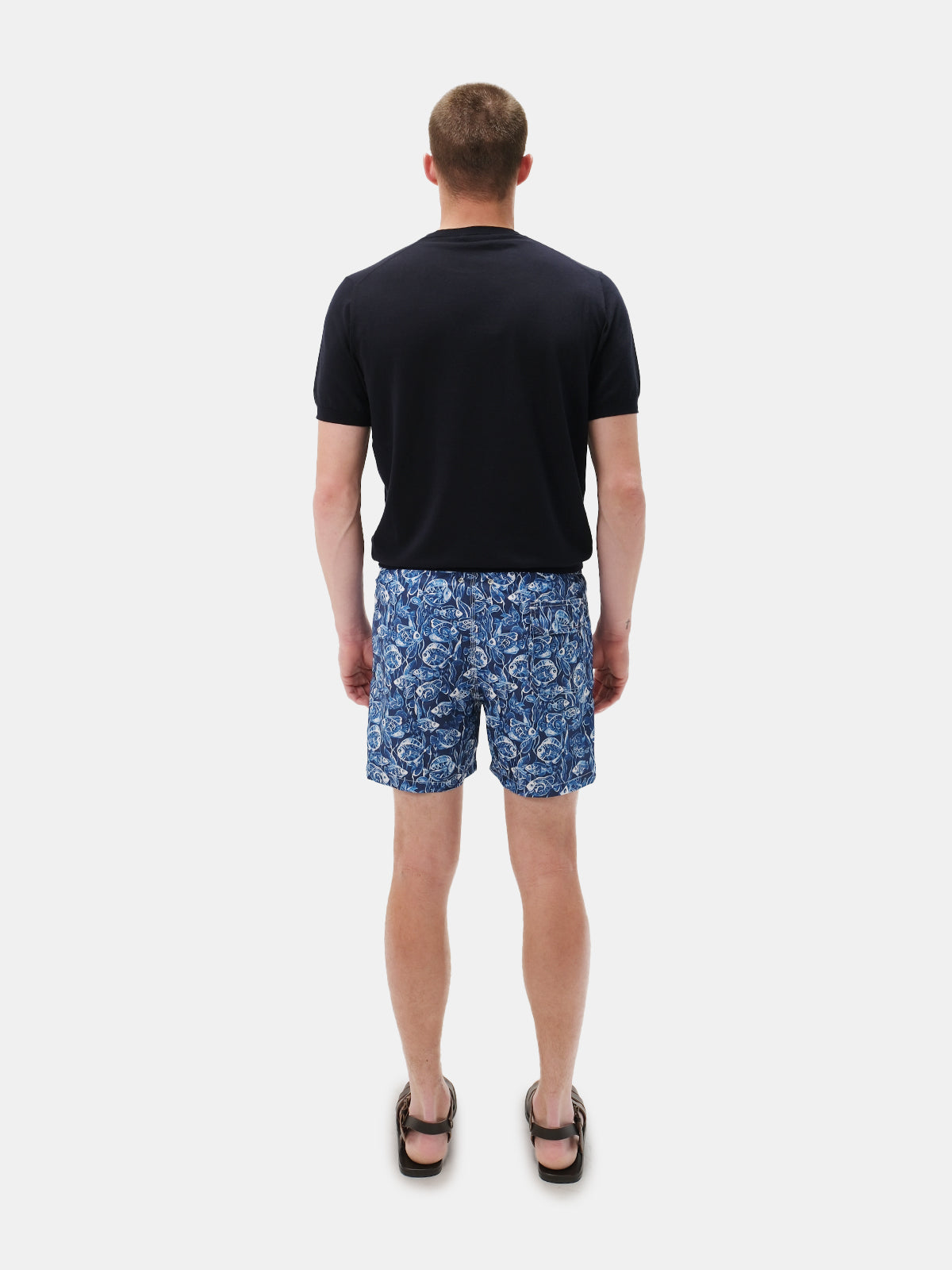 Royal Marine Life Printed Swim Shorts