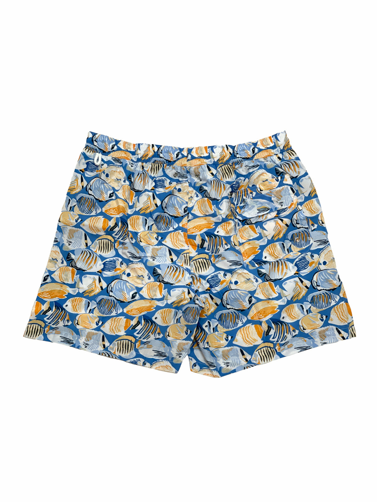 Tropical Fish Orange Printed Swim Shorts