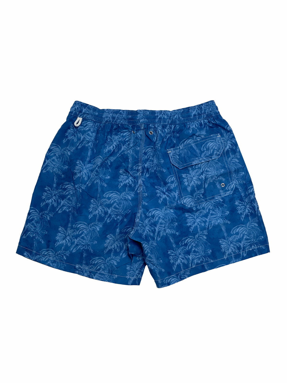 Blue Palmtree Printed Swim Shorts