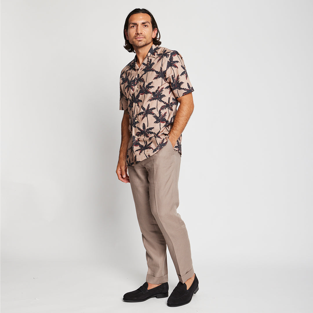 Biscotti Palm Tree Camp Collar